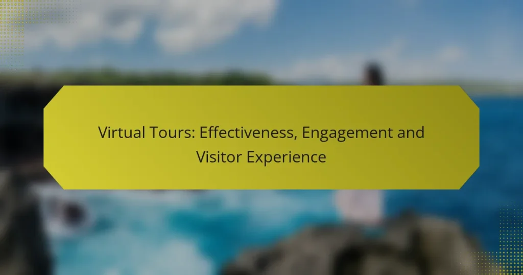Virtual Tours: Effectiveness, Engagement and Visitor Experience