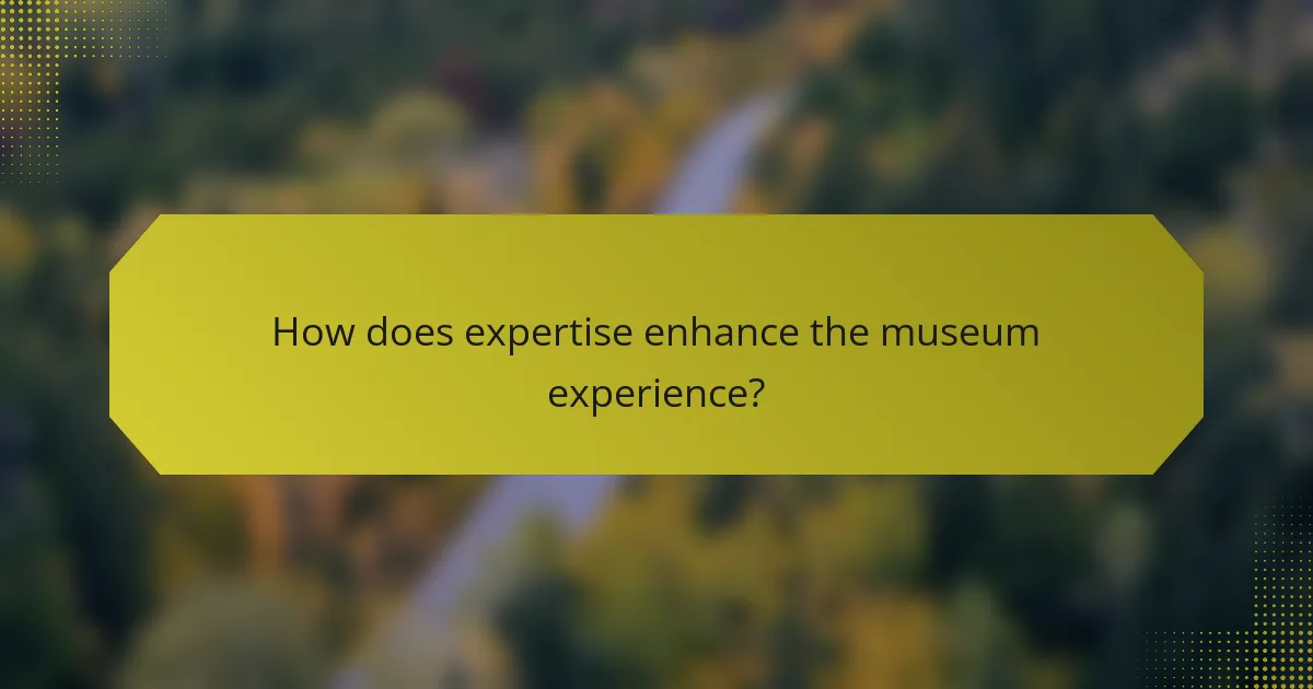 How does expertise enhance the museum experience?