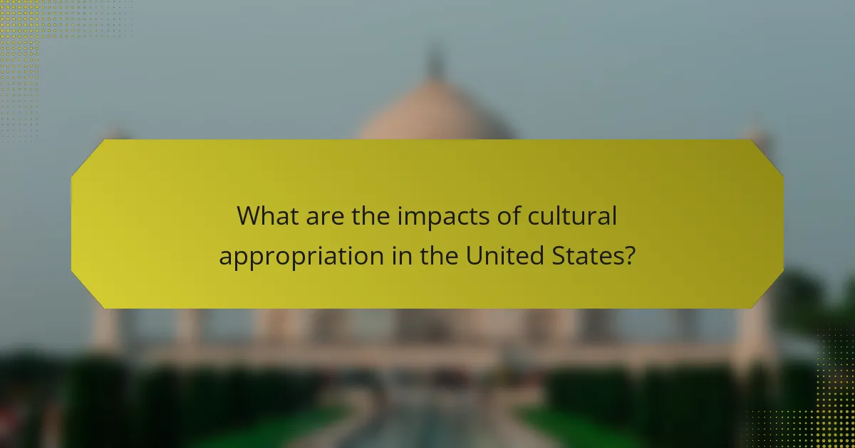 What are the impacts of cultural appropriation in the United States?