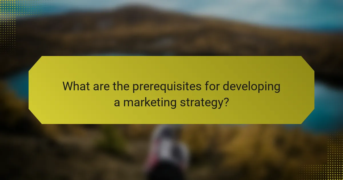 What are the prerequisites for developing a marketing strategy?