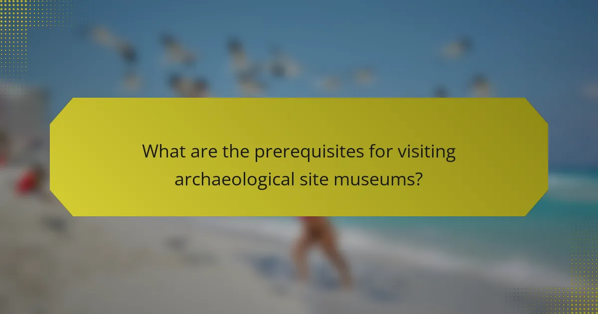 What are the prerequisites for visiting archaeological site museums?
