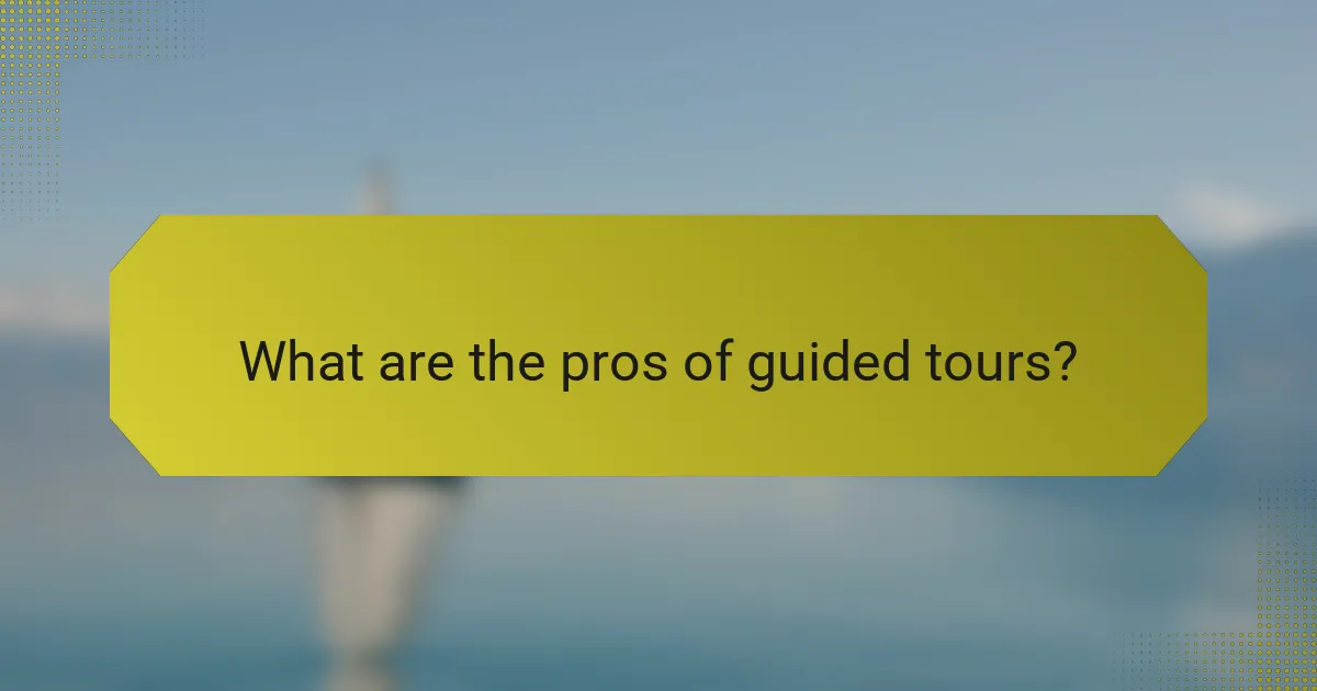 What are the pros of guided tours?