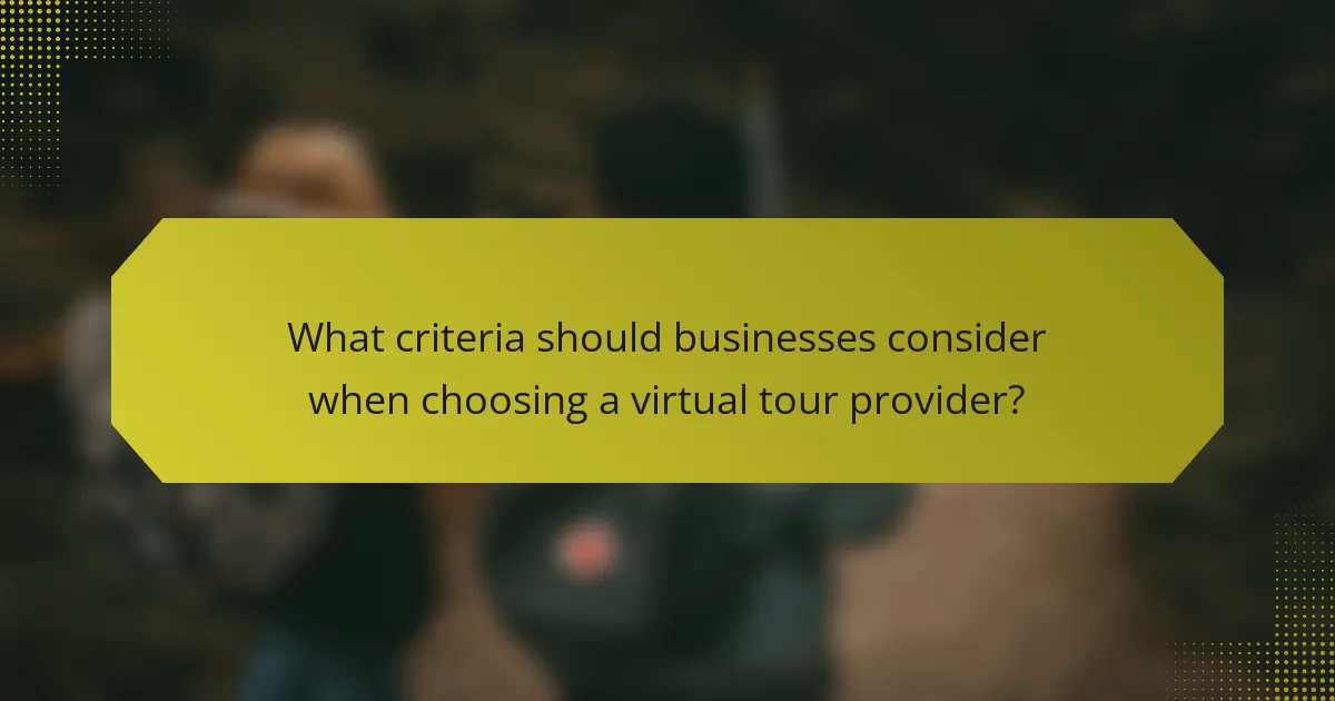 What criteria should businesses consider when choosing a virtual tour provider?