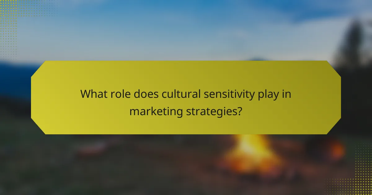 What role does cultural sensitivity play in marketing strategies?